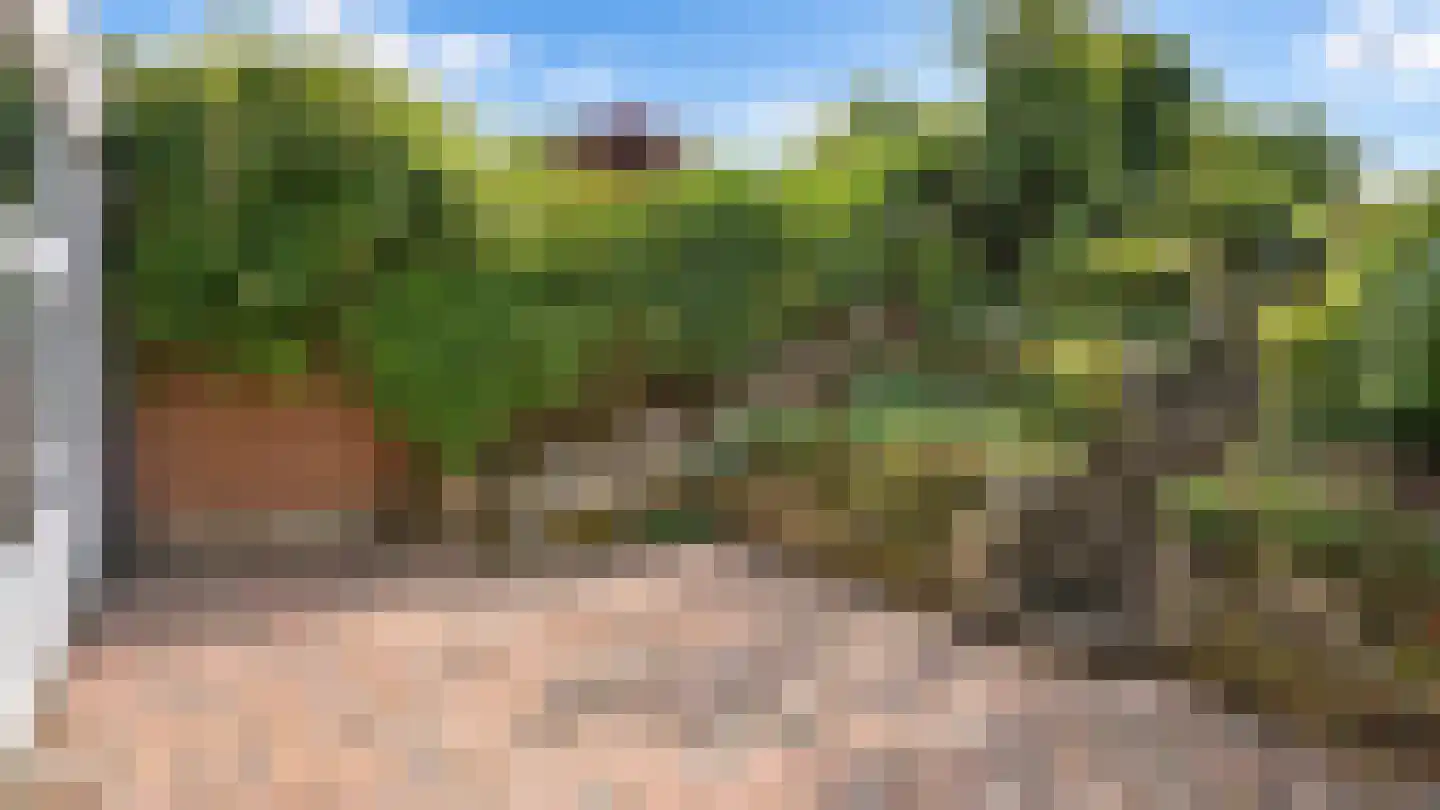 Schaesbergerweg 32 Heerlen thumbnail 7
