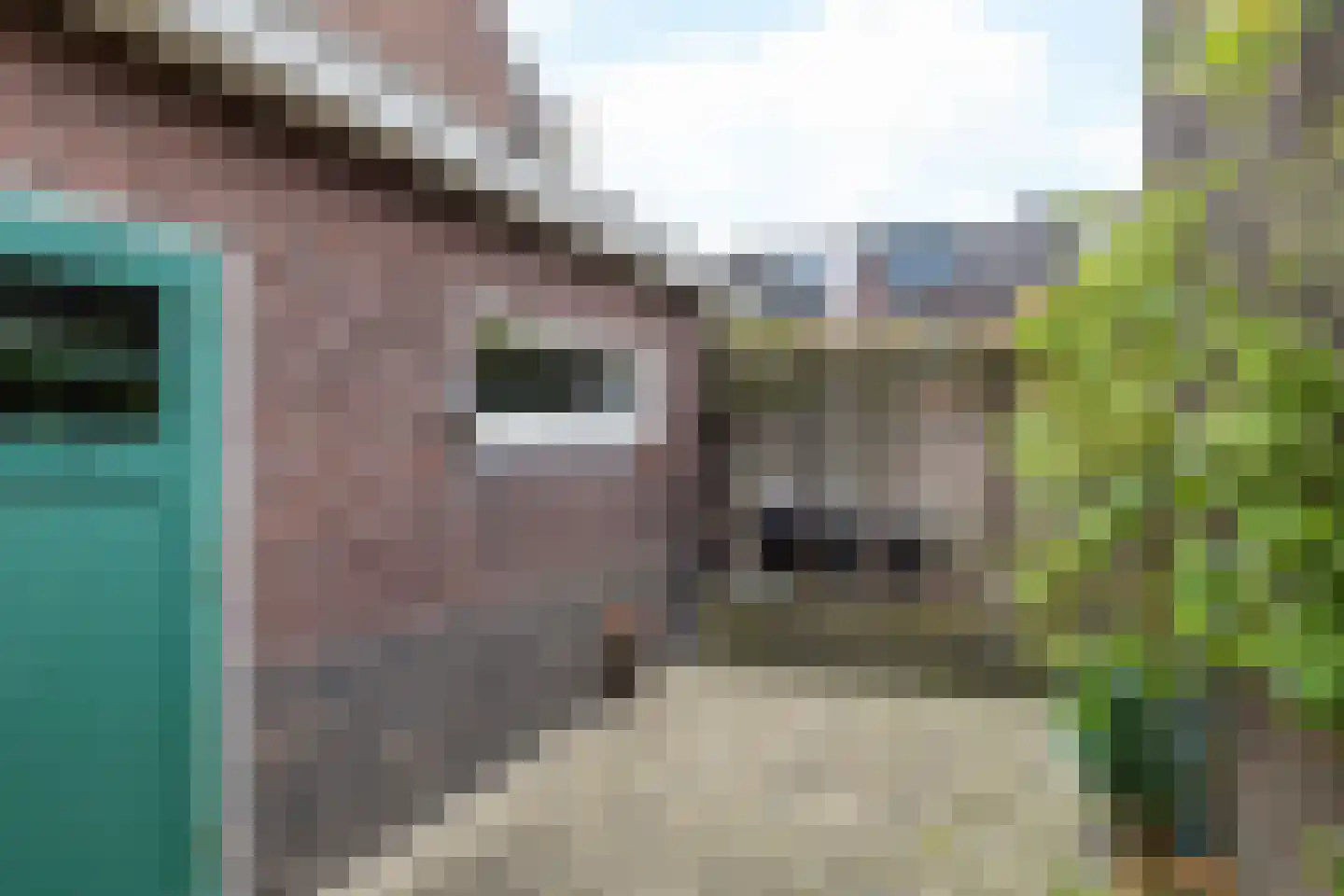 Schaesbergerweg 37 Heerlen thumbnail 46