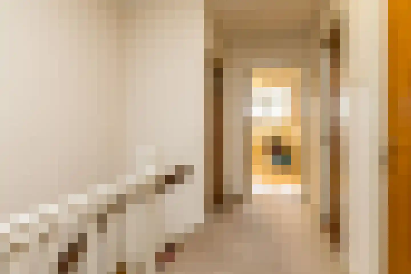 Schaesbergerweg 37 Heerlen thumbnail 8