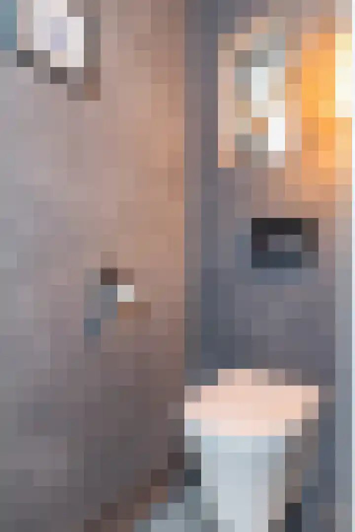 Schaesbergerweg 5 Heerlen thumbnail 6