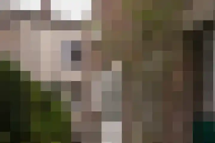 Schaesbergerweg 85 Heerlen thumbnail 27