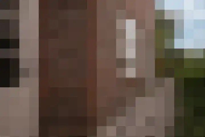 Schaesbergerweg 85 Heerlen thumbnail 28