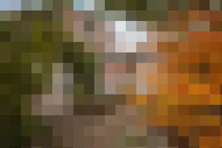 Schaesbergerweg 85 Heerlen thumbnail 30