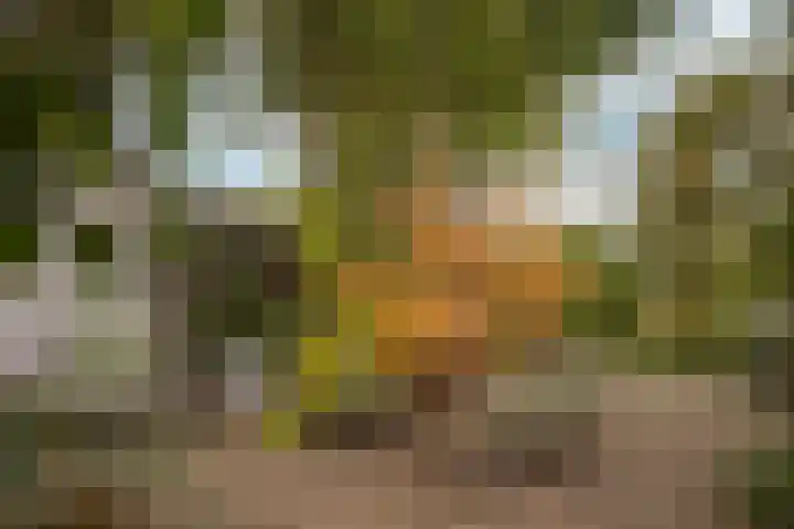 Schaesbergerweg 85 Heerlen thumbnail 31