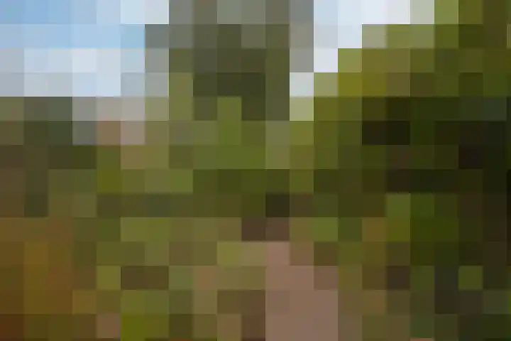 Schaesbergerweg 85 Heerlen thumbnail 33