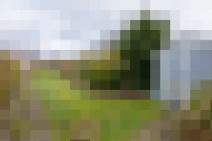 Schaesbergerweg 87 Heerlen thumbnail 26