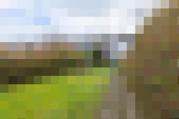 Schaesbergerweg 87 Heerlen thumbnail 27