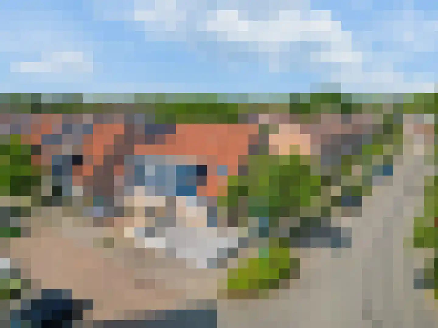 Schaffelaar 71 Veenendaal thumbnail 33