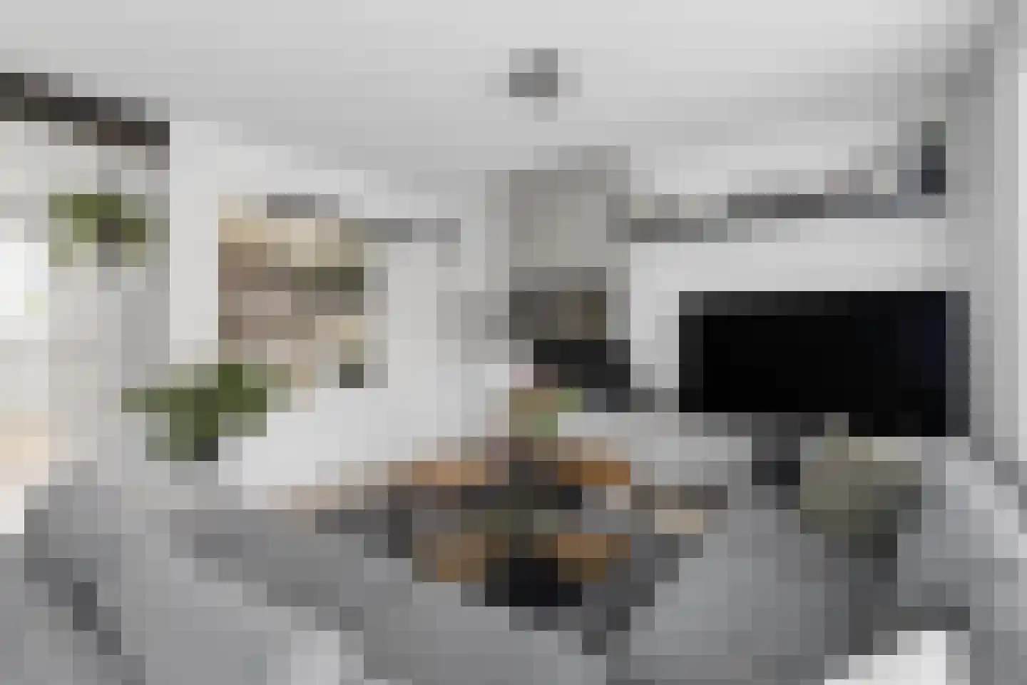 Schaffelaar 71 Veenendaal thumbnail 6