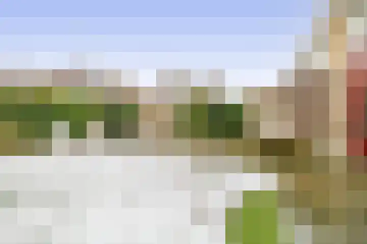 Schaffelaarhout 30 Harderwijk thumbnail 25