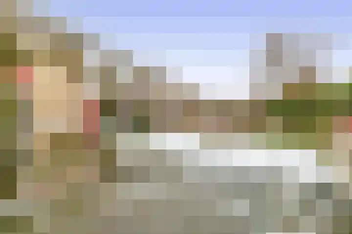 Schaffelaarhout 30 Harderwijk thumbnail 26