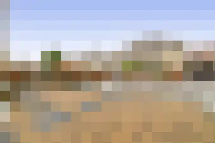 Schaffelaarhout 30 Harderwijk thumbnail 28