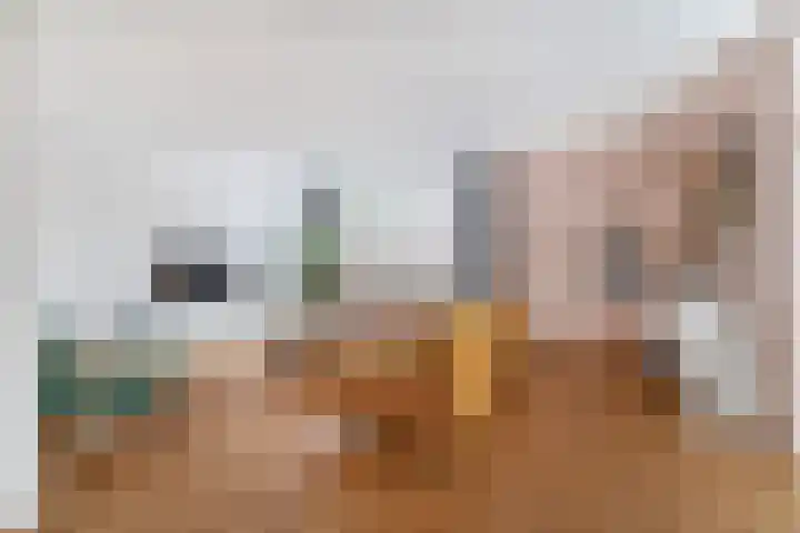 Schaffelaarhout 30 Harderwijk thumbnail 6
