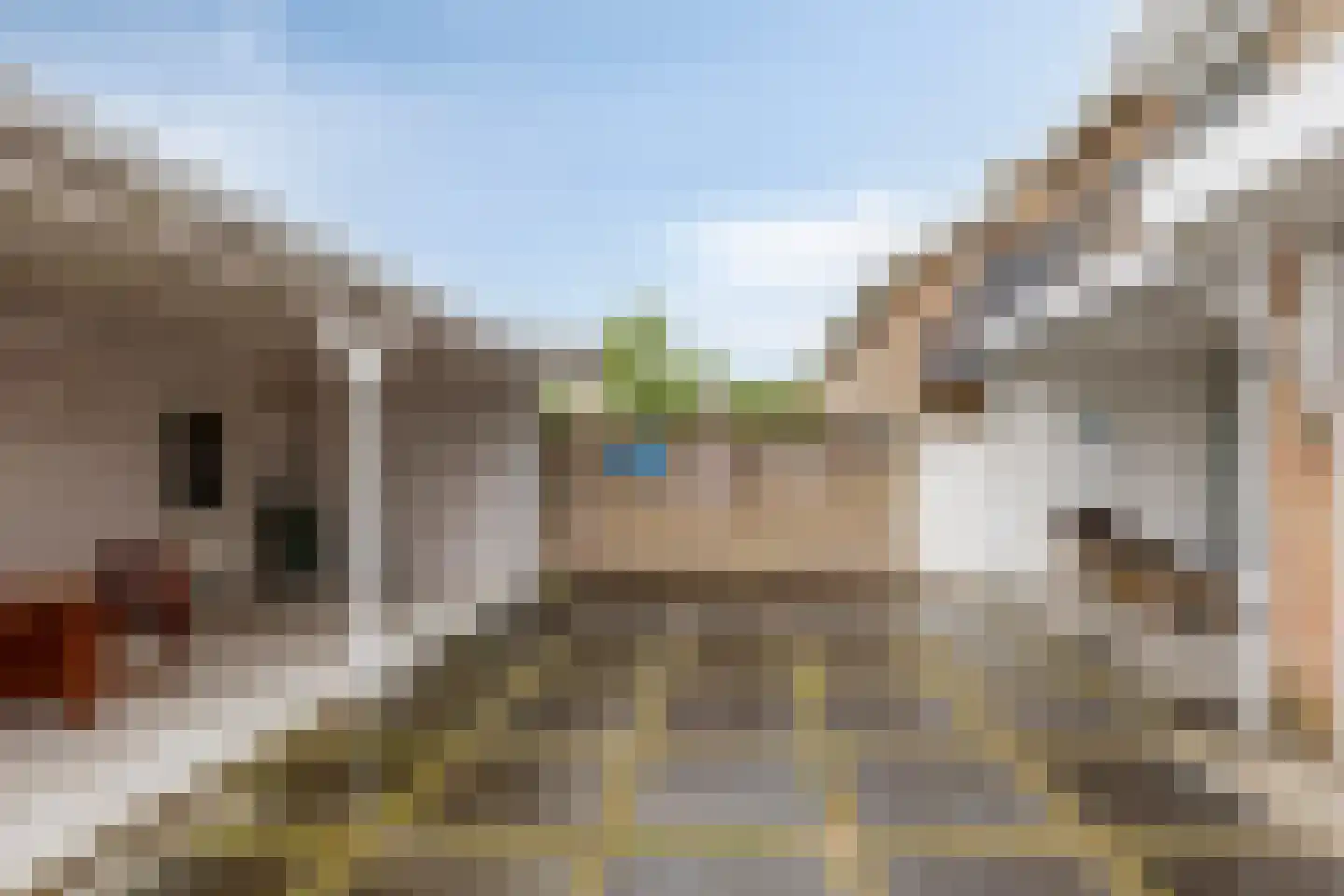 Schaffelaarstraat 102 Breda thumbnail 29