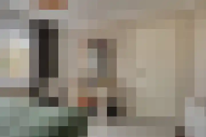 Schaffelaarstraat 80 Breda thumbnail 20