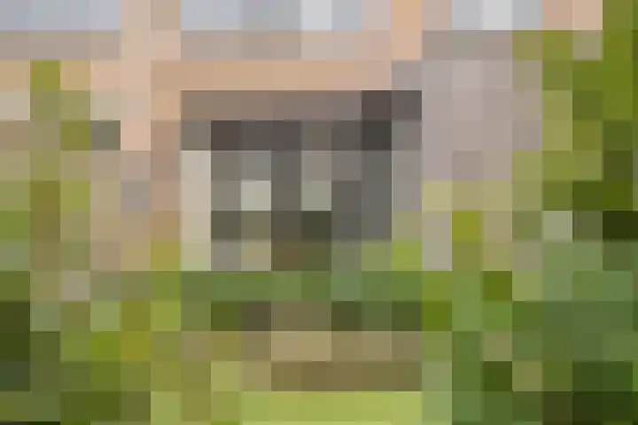 Schaffelaarstraat 80 Breda thumbnail 30