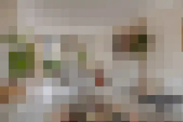 Schaffelaarstraat 80 Breda thumbnail 8