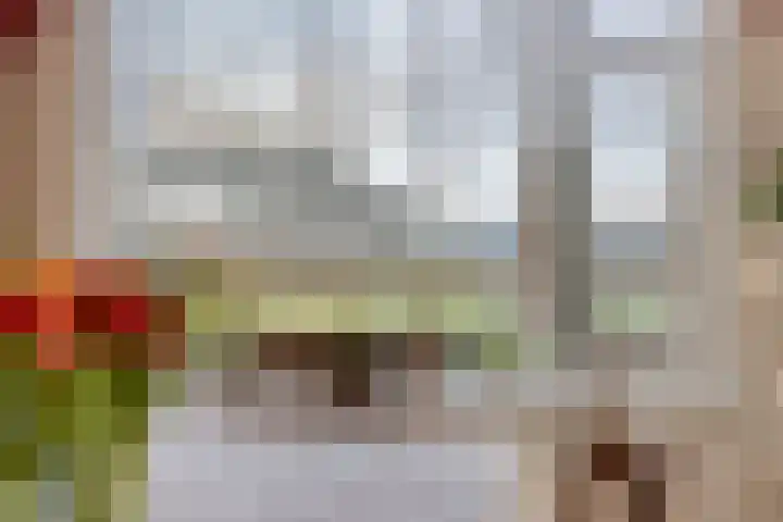 Schafterdijk 4 Valkenswaard thumbnail 14