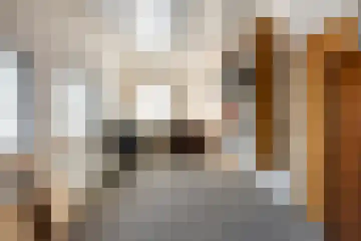 Schafterdijk 4 Valkenswaard thumbnail 30