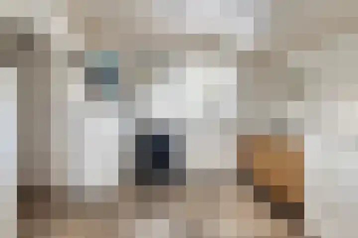 Schafterdijk 4 Valkenswaard thumbnail 33