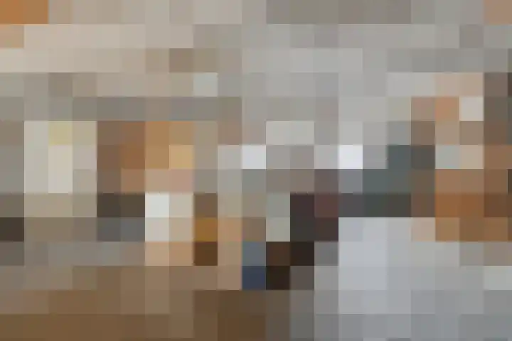 Schafterdijk 4 Valkenswaard thumbnail 35