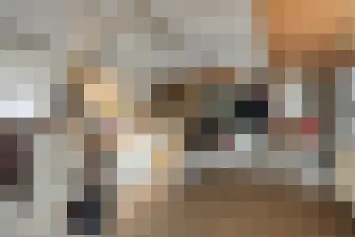 Schafterdijk 4 Valkenswaard thumbnail 37
