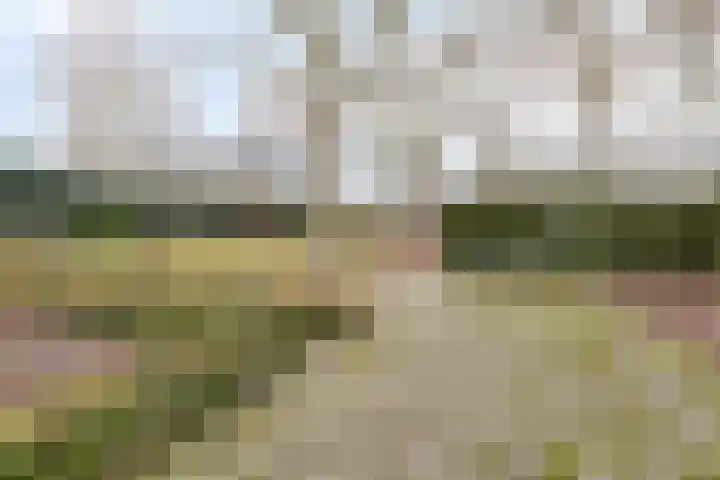 Schafterdijk 4 Valkenswaard thumbnail 53