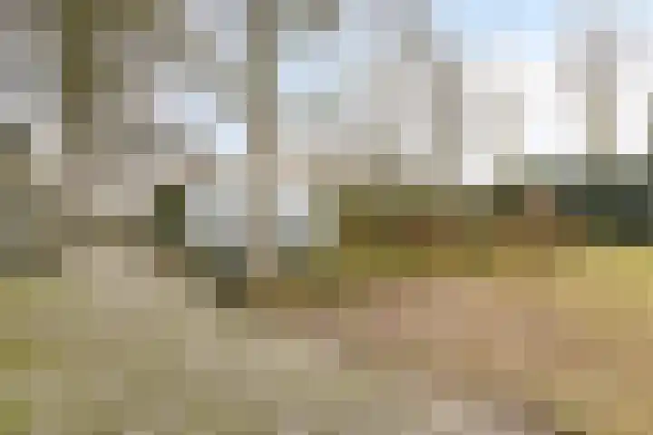 Schafterdijk 4 Valkenswaard thumbnail 54