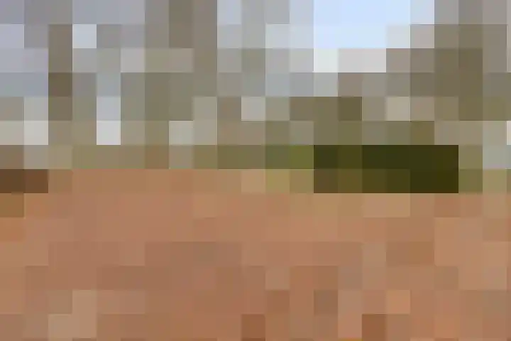Schafterdijk 4 Valkenswaard thumbnail 55