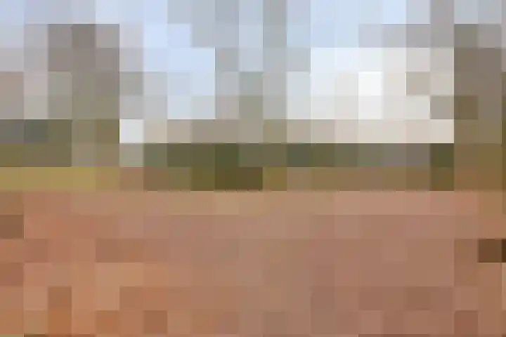 Schafterdijk 4 Valkenswaard thumbnail 56
