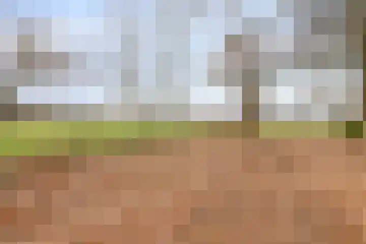 Schafterdijk 4 Valkenswaard thumbnail 57