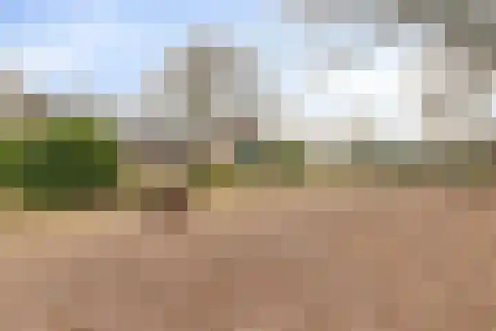 Schafterdijk 4 Valkenswaard thumbnail 59