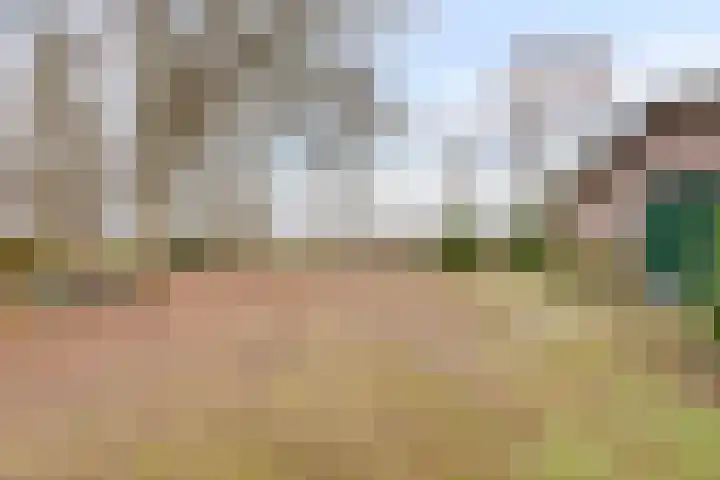 Schafterdijk 4 Valkenswaard thumbnail 60