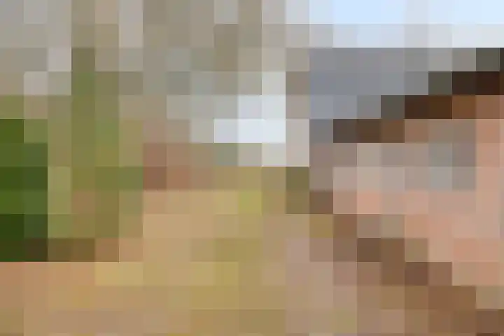 Schafterdijk 4 Valkenswaard thumbnail 61