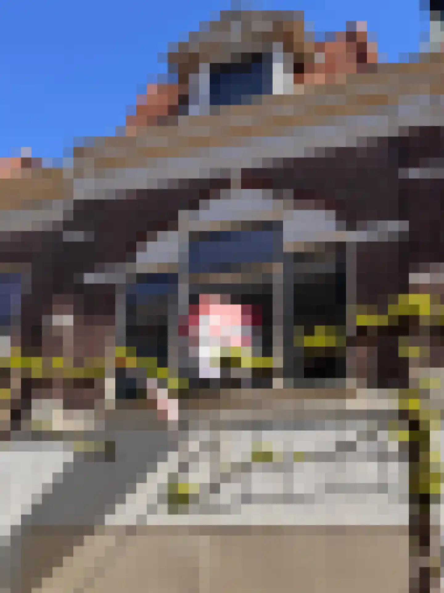 Schagchelstraat 19 B Haarlem thumbnail 29