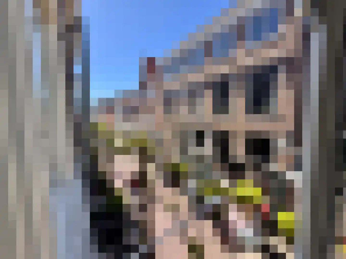 Schagchelstraat 19 B Haarlem thumbnail 30