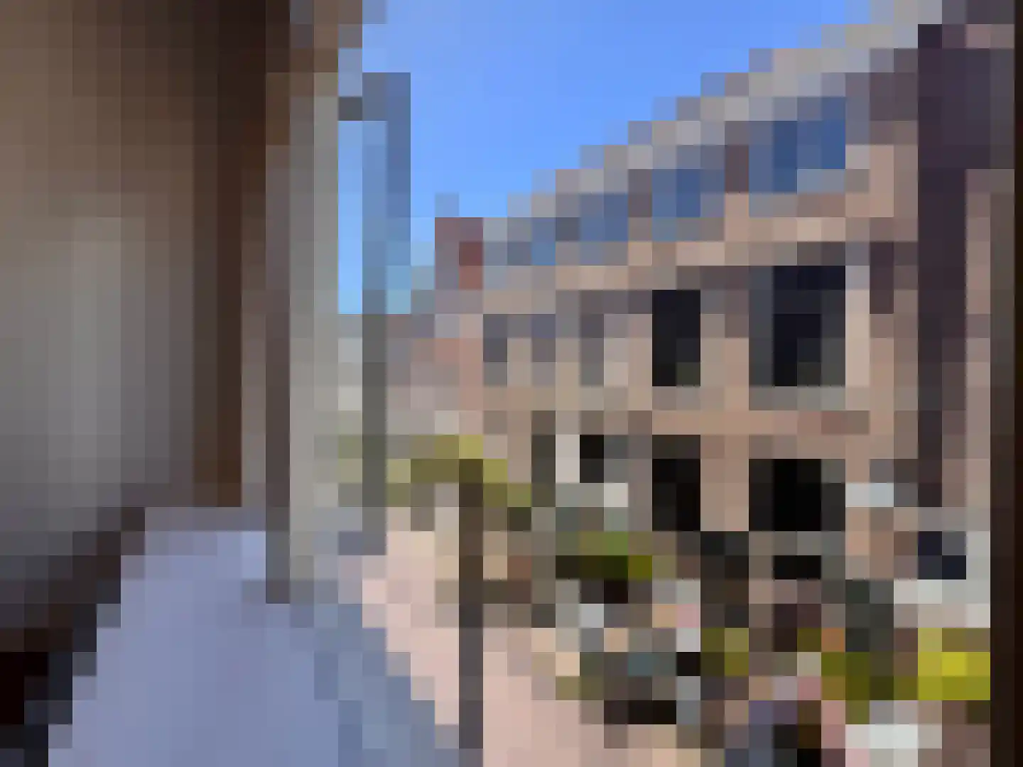 Schagchelstraat 19 B Haarlem thumbnail 8
