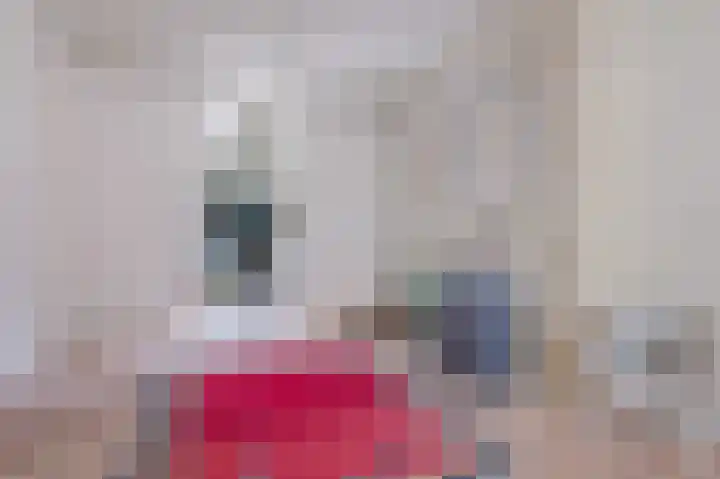 Schagchelstraat 39 RD Haarlem thumbnail 6
