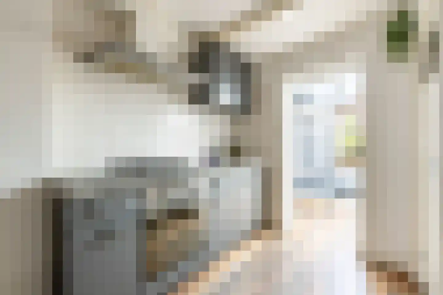 Schagchelstraat 4 Haarlem thumbnail 15
