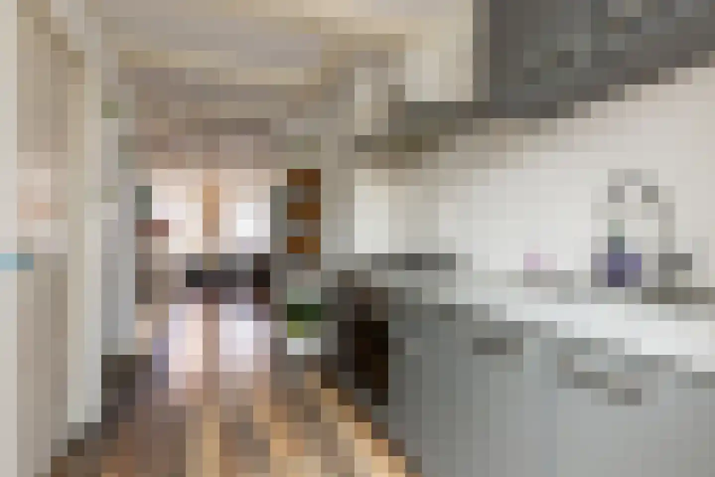 Schagchelstraat 4 Haarlem thumbnail 16
