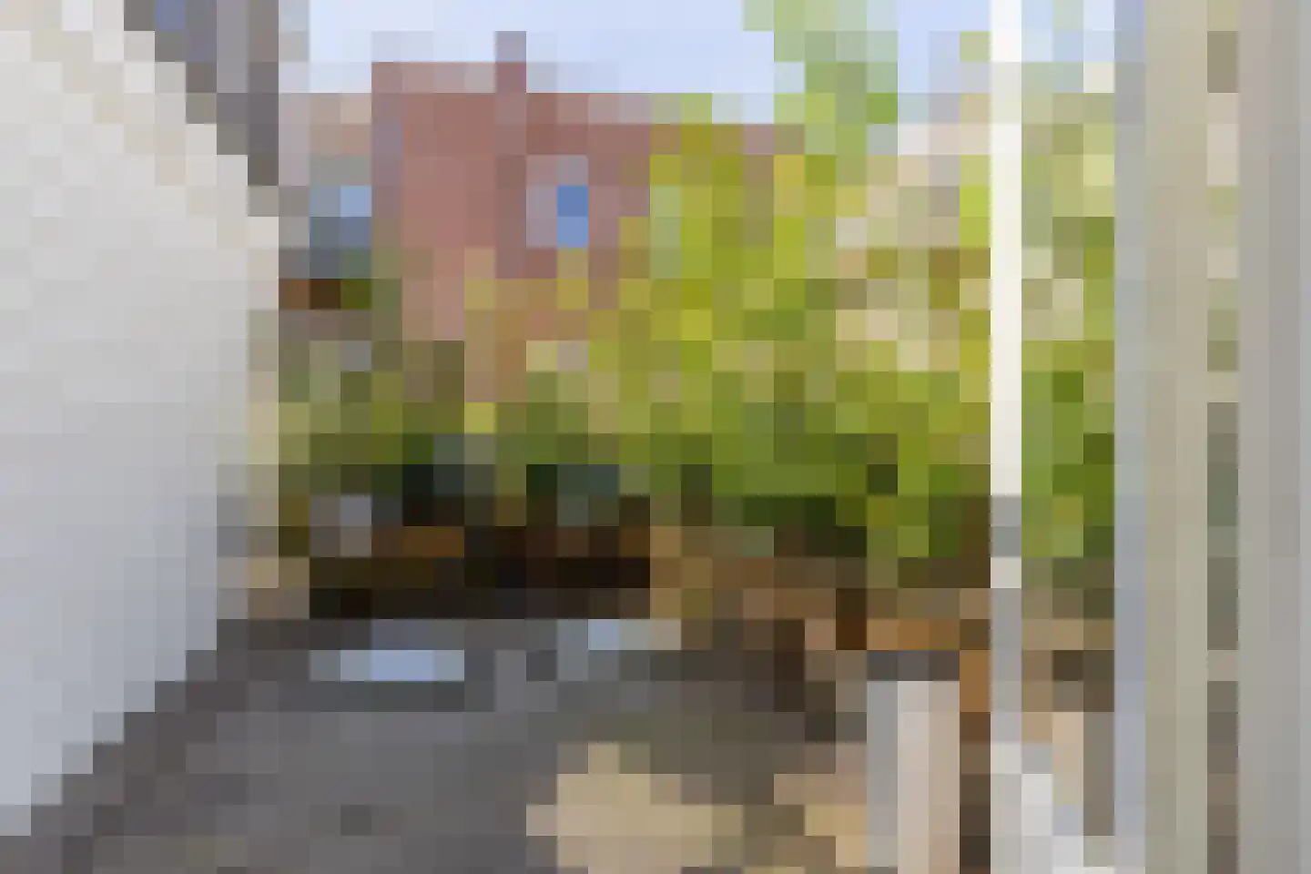 Schagchelstraat 4 Haarlem thumbnail 18