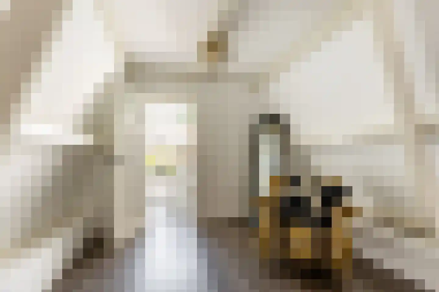 Schagchelstraat 4 Haarlem thumbnail 21