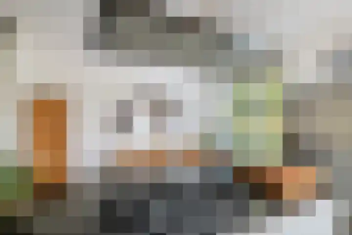 Schagenhof 1 Meteren thumbnail 10