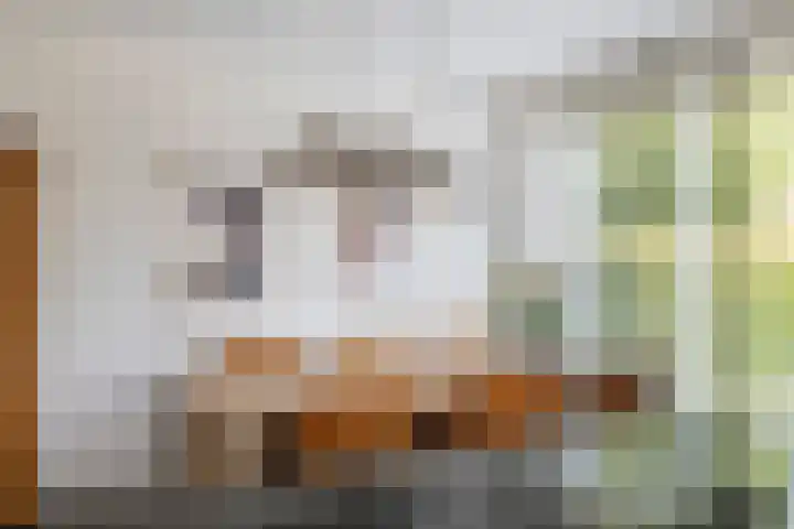 Schagenhof 1 Meteren thumbnail 11