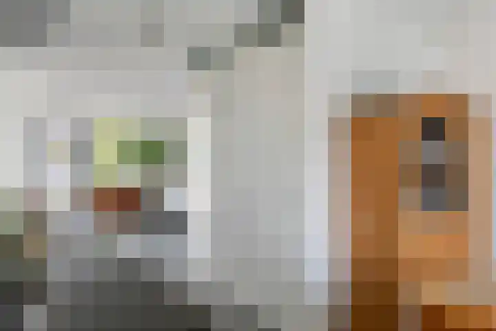 Schagenhof 1 Meteren thumbnail 12