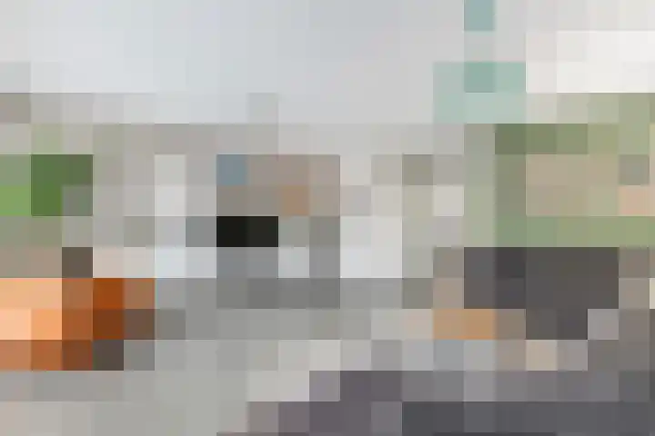 Schagenhof 1 Meteren thumbnail 15