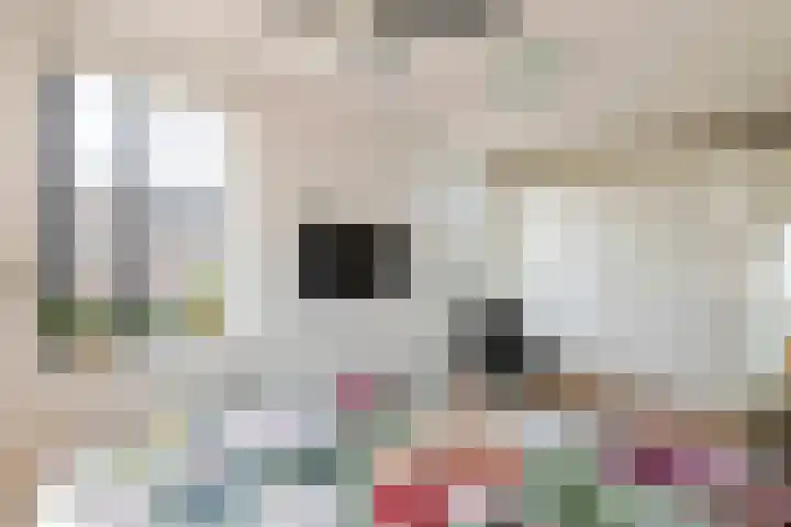 Schagenhof 1 Meteren thumbnail 22