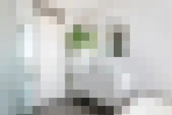 Schagenhof 1 Meteren thumbnail 28