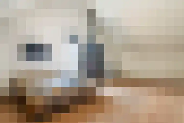 Schagenhof 1 Meteren thumbnail 31