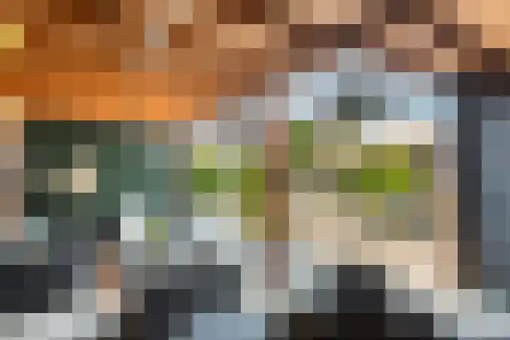 Schagenhof 1 Meteren thumbnail 33